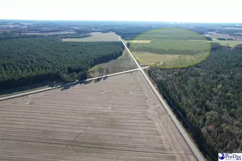 tbd W Highway 34 Dothan Rd, Dillon, SC 29536