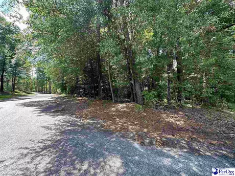 lot14 Wildshall Rd, Darlington, SC 29540