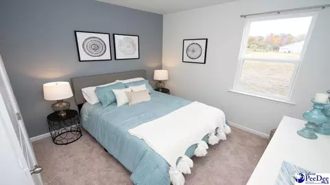 2031 E Paces Trl, Darlington, SC 29532 photo 10