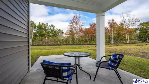 2031 E Paces Trl, Darlington, SC 29532 photo 38