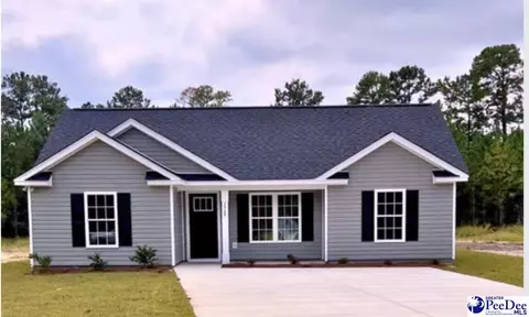 3369 B And S Rd, Loris, SC 29569 photo 1