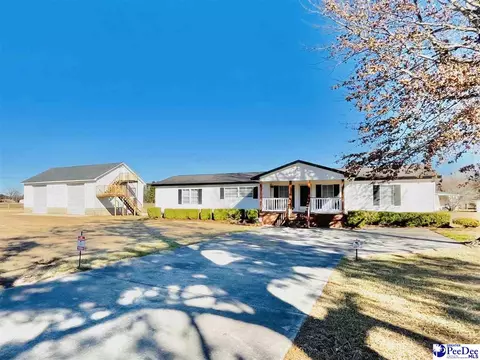 2991 Old Manning Rd, Scranton, SC 29591 photo 1