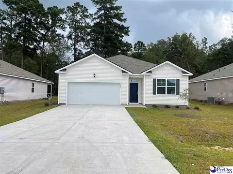 2043 E Paces Trl, Darlington, SC 29532 photo 1