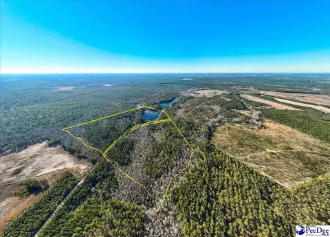 Mcbride Road, Patrick, SC 29584 photo 4