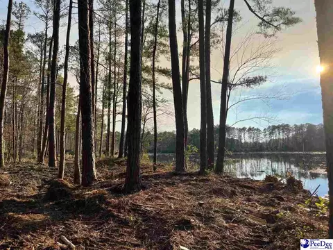 Mcbride Road, Patrick, SC 29584 photo 14