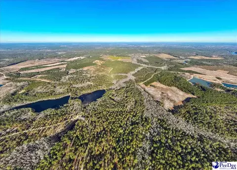 Mcbride Road, Patrick, SC 29584 photo 10