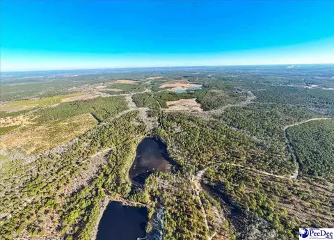 Mcbride Road, Patrick, SC 29584 photo 8