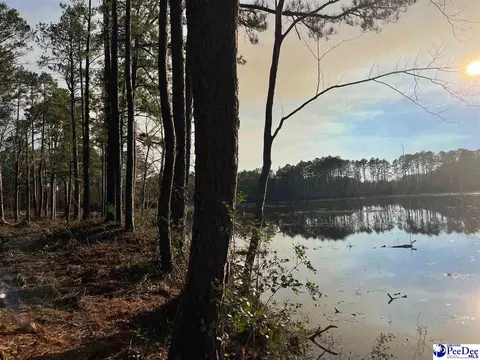 Mcbride Road, Patrick, SC 29584 photo 13