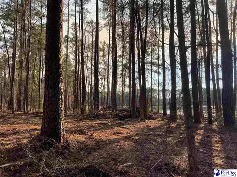 Mcbride Road, Patrick, SC 29584 photo 16