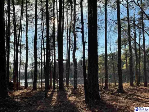 Mcbride Road, Patrick, SC 29584 photo 11