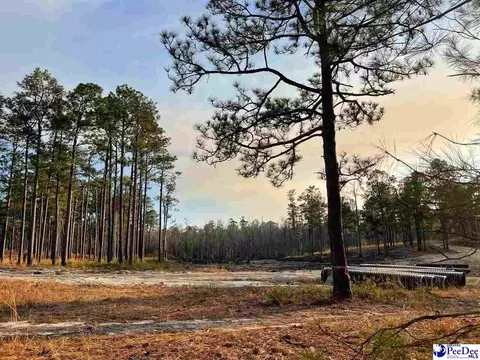 Mcbride Road, Patrick, SC 29584 photo 18