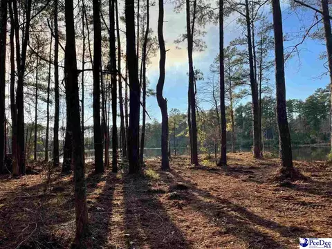 Mcbride Road, Patrick, SC 29584 photo 15