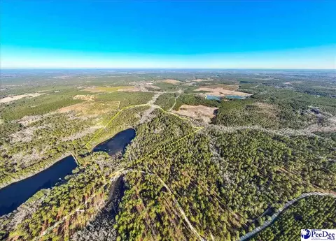 Mcbride Road, Patrick, SC 29584 photo 9