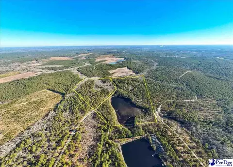 Mcbride Road, Patrick, SC 29584 photo 6