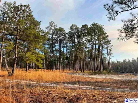 Mcbride Road, Patrick, SC 29584 photo 17
