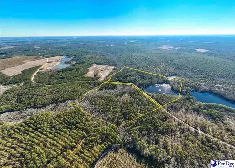 Mcbride Road, Patrick, SC 29584 photo 5