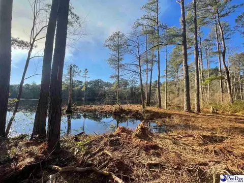 Mcbride Road, Patrick, SC 29584 photo 12