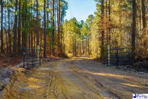 Mcbride Road, Patrick, SC 29584 photo 3