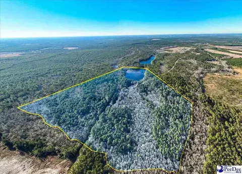 Mcbride Road, Patrick, SC 29584 photo 1