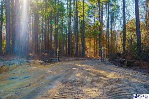 Mcbride Road, Patrick, SC 29584 photo 7