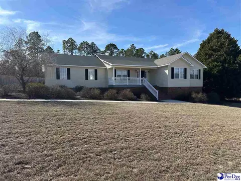 119 Greenbriar Rd, Cheraw, SC 29520 photo 1