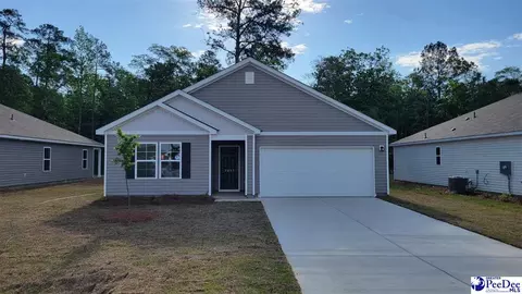 2027 E Paces Trl, Darlington, SC 29532 photo 1