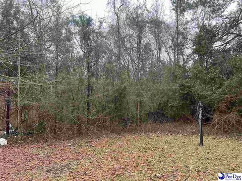 1715 E Mciver Rd, Florence, SC 29501 photo 11