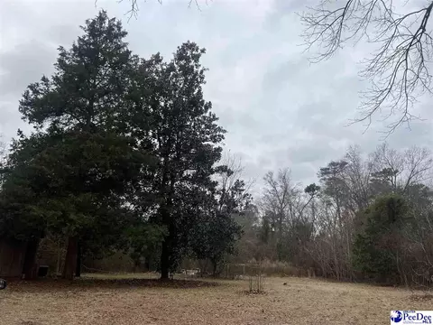1715 E Mciver Rd, Florence, SC 29501 photo 15