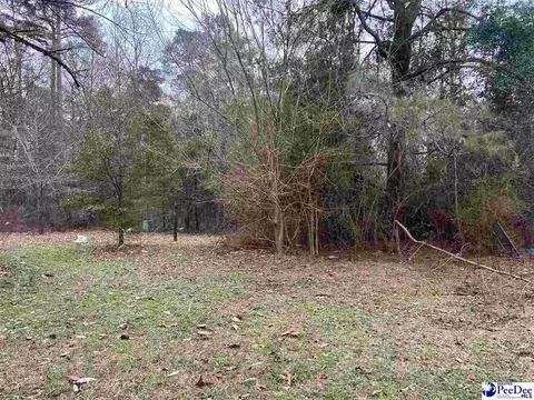 1715 E Mciver Rd, Florence, SC 29501 photo 13