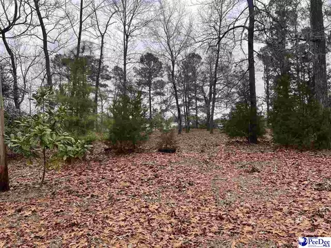 1715 E Mciver Rd, Florence, SC 29501 photo 14