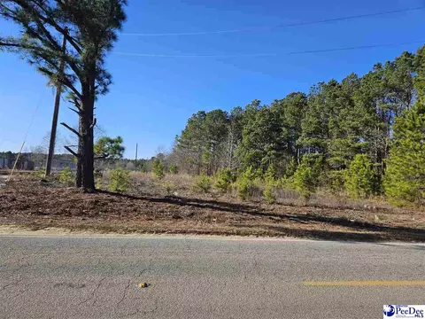 1549 Lester Rd, Dillon, SC 29536 photo 1