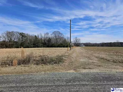 2438 Minturn Rd, Dillon, SC 29536 photo 1