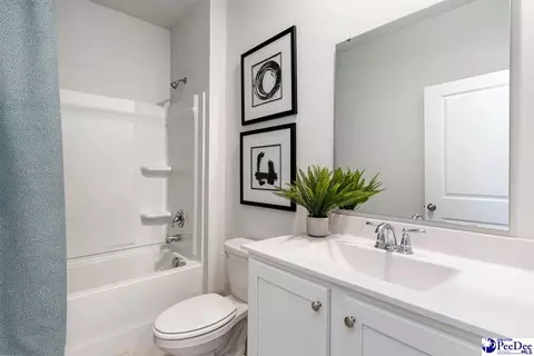 2030 E Paces Trl, Darlington, SC 29532 photo 10