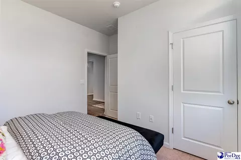 2030 E Paces Trl, Darlington, SC 29532 photo 9