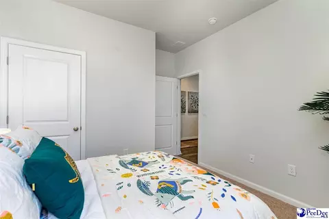 2030 E Paces Trl, Darlington, SC 29532 photo 12
