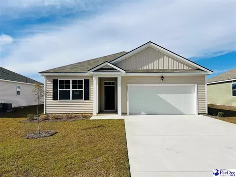 2034 E Paces Trl, Darlington, SC 29532 photo 1
