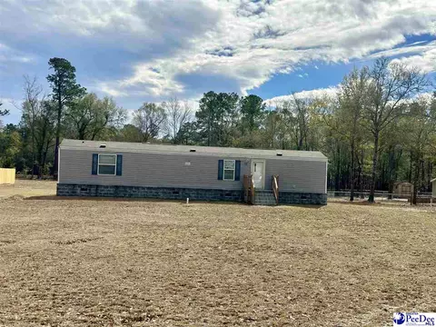 53 Shannon Loop, Kingstree, SC 29556 photo 1