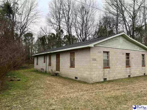 36 Rabbits Foot Ext, Kingstree, SC 29556 photo 9