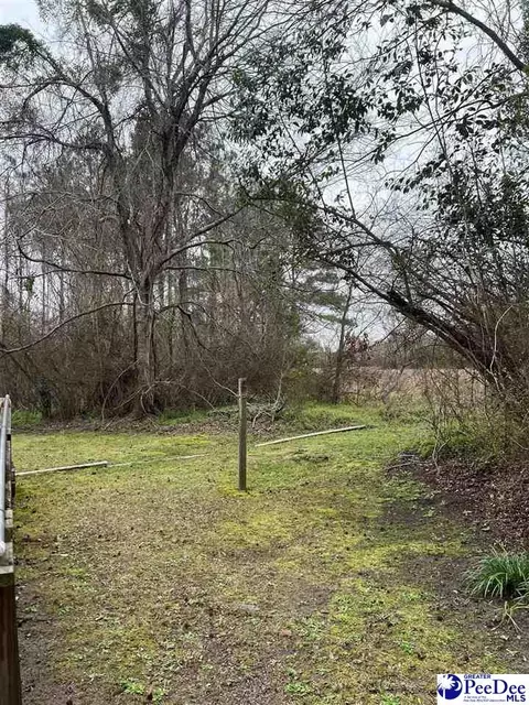 36 Rabbits Foot Ext, Kingstree, SC 29556 photo 11
