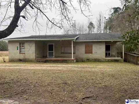 36 Rabbits Foot Ext, Kingstree, SC 29556 photo 2