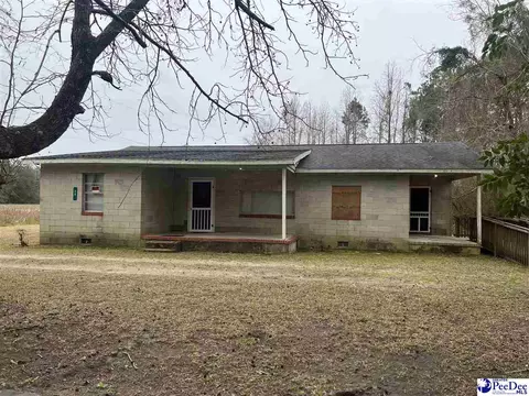 36 Rabbits Foot Ext, Kingstree, SC 29556 photo 1