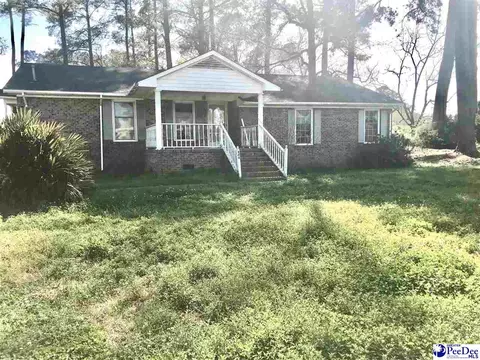 404 E 3rd Ave, Lake View, SC 29563 photo 23