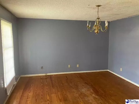 404 E 3rd Ave, Lake View, SC 29563 photo 9
