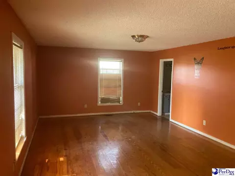 404 E 3rd Ave, Lake View, SC 29563 photo 15