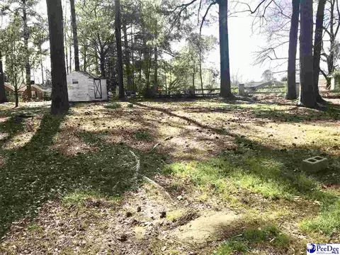 404 E 3rd Ave, Lake View, SC 29563 photo 22