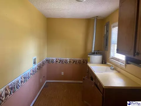404 E 3rd Ave, Lake View, SC 29563 photo 7