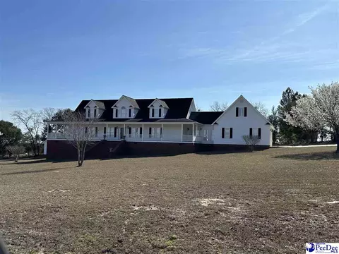 115 Briarcliff Rd, Cheraw, SC 29520 photo 1