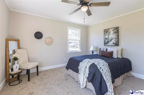 220 Adams Cir, Lamar, SC 29069 photo 29