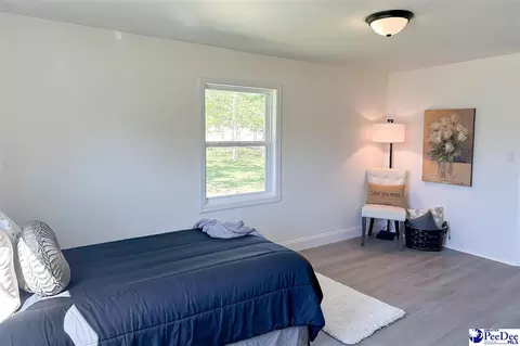 220 Adams Cir, Lamar, SC 29069 photo 36