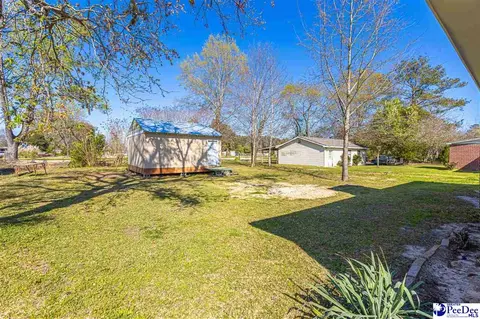 220 Adams Cir, Lamar, SC 29069 photo 41
